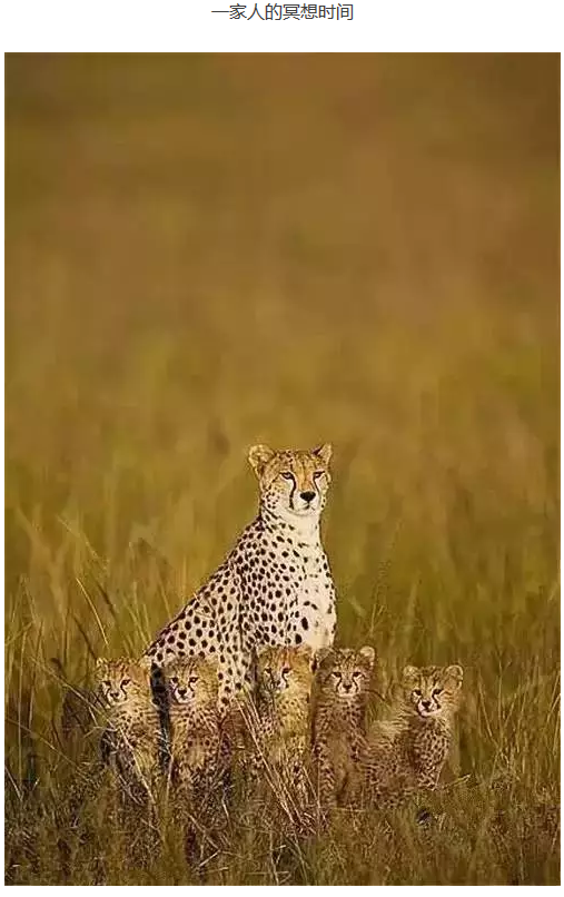 images/7/2017/08/ASMXIiPuegEyyxpU1bEX1ZHUg1ExL1.png