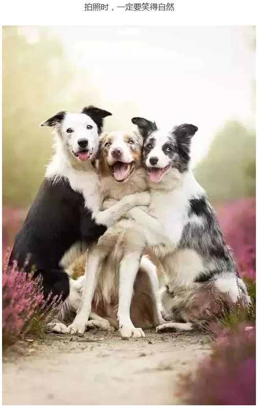images/7/2017/08/Po8vjjCVocjOmoz909N8CUc7ooe2N0.png