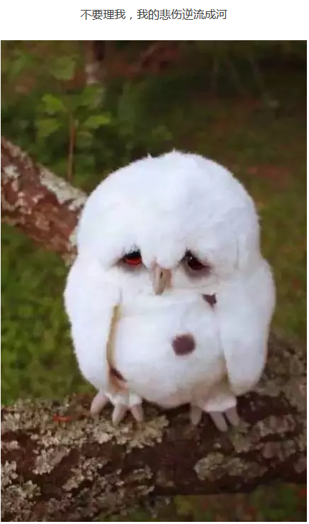 images/7/2017/08/abQeqyfaFAEiYB1FGfaMYz7Zj7Z505.png