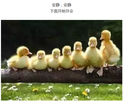 images/7/2017/08/enGtib921E00ji2hLUs143U4SrRi2S.png