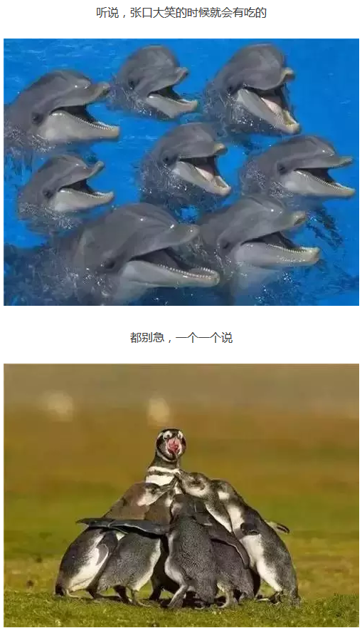 images/7/2017/08/rJeEjXl2jY9f9FH2N82cCSLF5YYF33.png