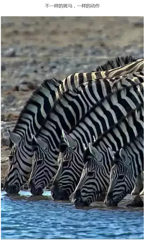 images/7/2017/08/x36O5K0PEnKJF76RKHP3ZJhk7J564Z.png